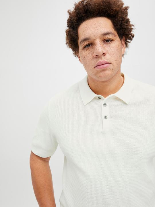 Actual product image Jack & Jones Plus Size Poloshirt Poloshirt (6XL)