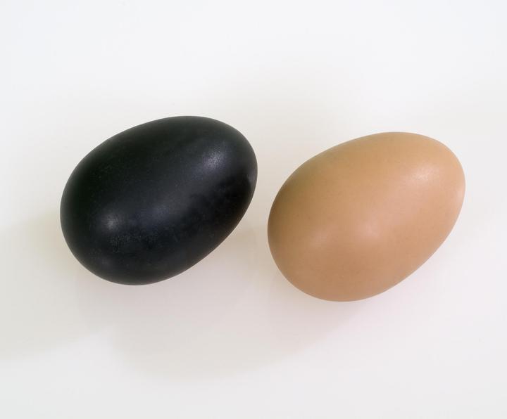 Immagine prodotto Betzold Musik Scuotere le uova (Shaker)