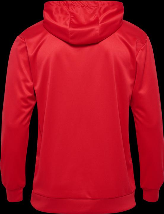 Actual product image hummel hmlLOGO HOODIE (L)