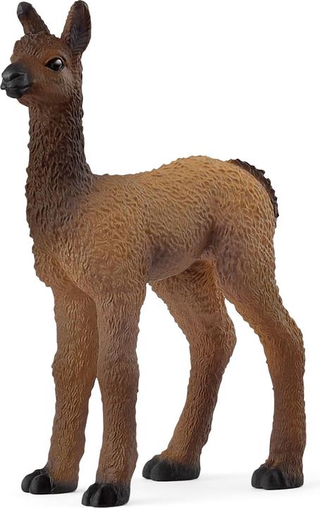 Immagine prodotto Schleich Puledro di lama