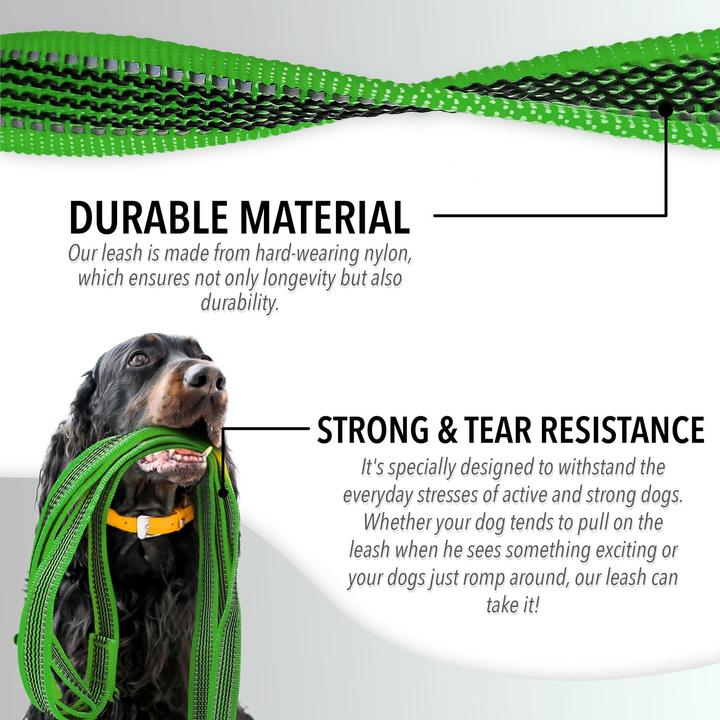 Productafbeelding Bluzelle Hondenriem 3m, dubbele riem met karabijnhaak, verstelbaar (XL, Hond, Loop)