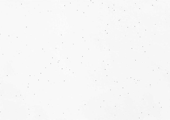 Image du produit Rico Design Rico Papier créatif, papier en coton avec graines de basilic (200 g/m²)