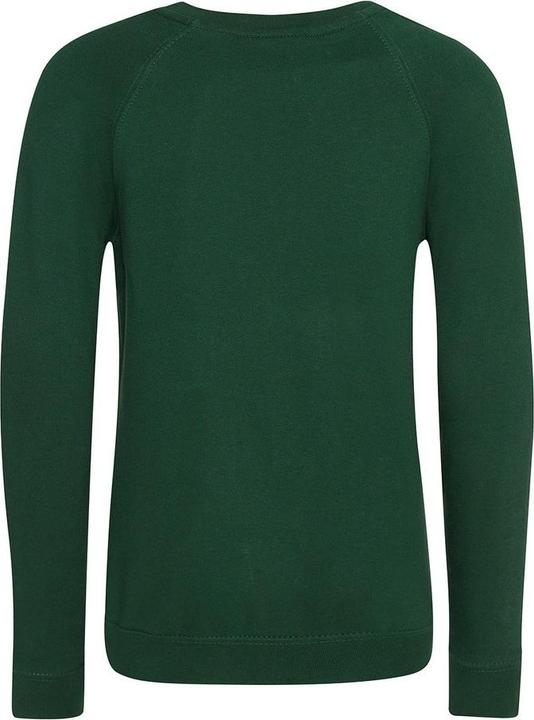 Actual product image Awdis Childrens/Kids Academy Raglan Sweatshirt (XL)