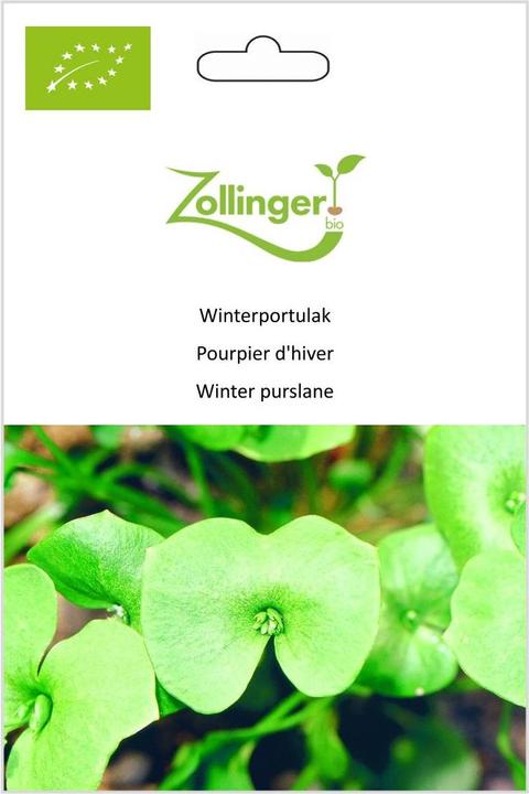 Produktbild Zollinger Bio Winterportulak (Pflanzensamen)