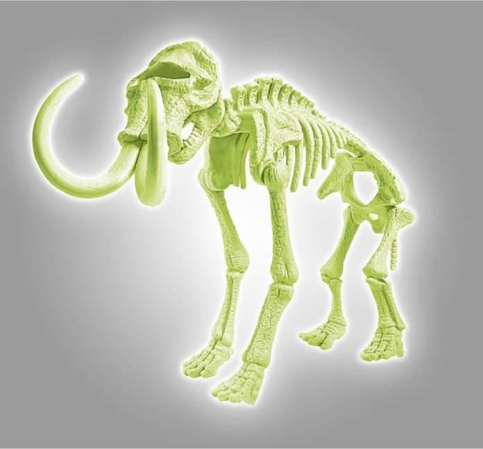 Image du produit Clementoni Archeo Mammouth Fluorescence