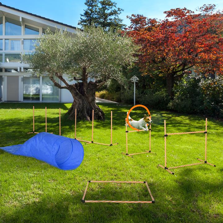 Actual product image PawHut Set (Agility)