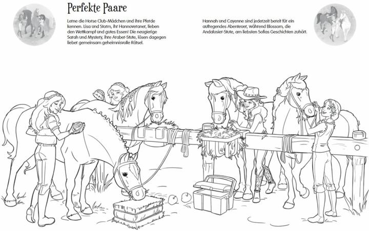 Immagine prodotto Schleich Horse Club Sticker-Malspass (Tedesco, Studio Ameet, 2019)