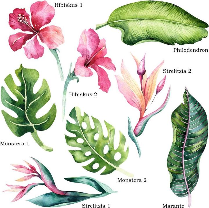 Immagine prodotto Trenddeko Piante tropicali (60 x 60 cm)