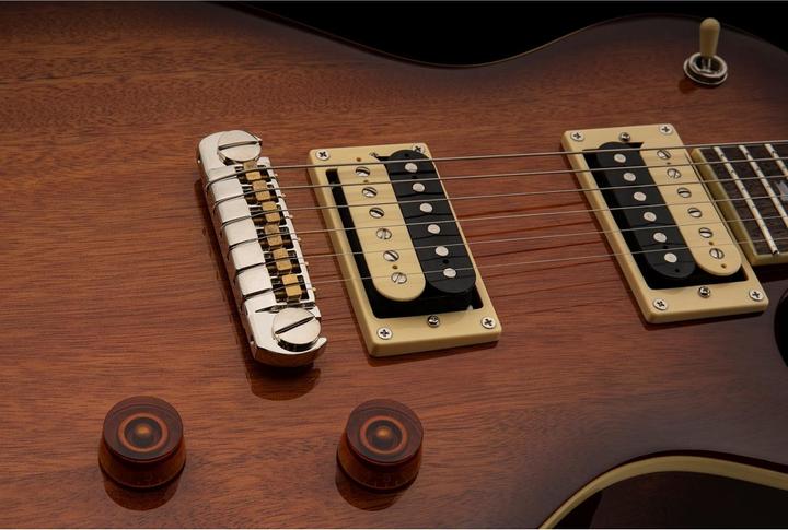 Immagine prodotto PRS SE 245 Standard (Chitarra elettrica, Mogano)