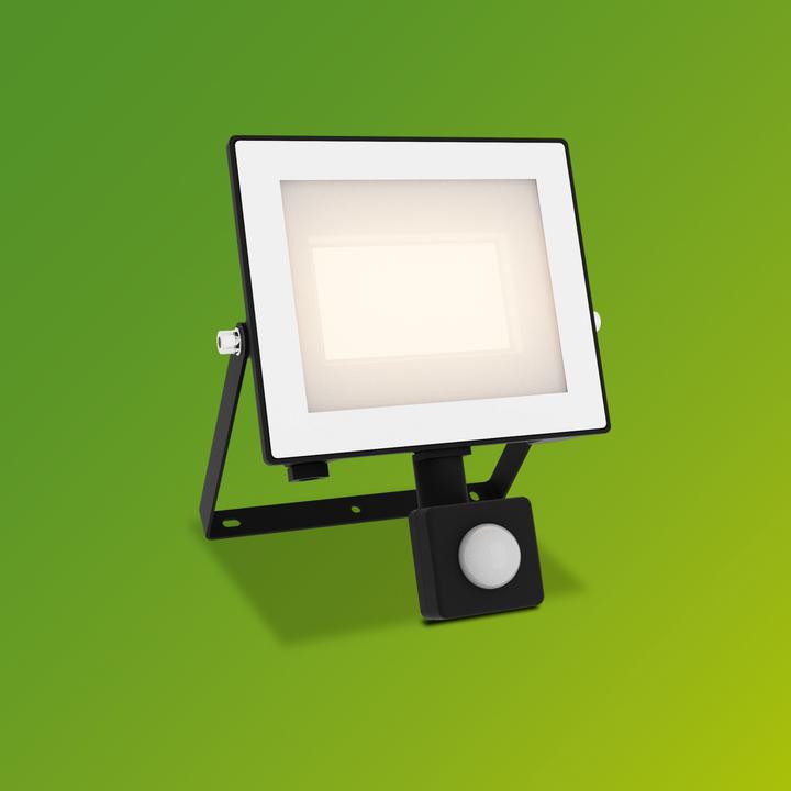 Image du produit Philips Outdoor Flutlicht Lois (2700 lm, IP65)