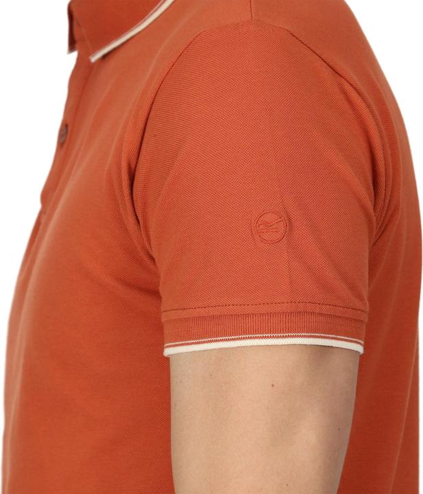 Actual product image Regatta Mens Tadeo Polo Shirt (M)