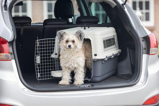 Produktbild Karlie Nomad (Hund, Katze, Abschliessbar)