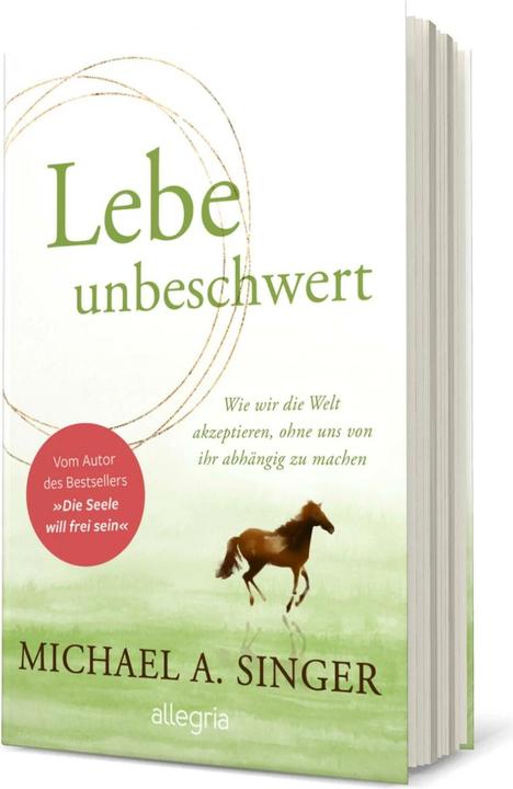 Produktbild Lebe unbeschwert (Deutsch, Michael A. Singer, 2023)