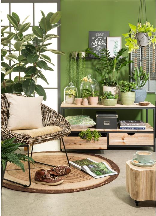 Actual product image Scheurich Flowerpot 866 (18.80 cm)