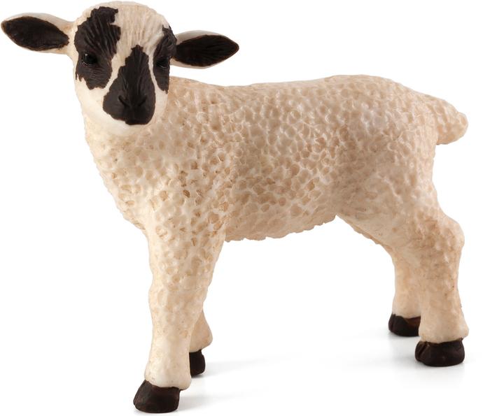 Immagine prodotto Animal Planet Agnello