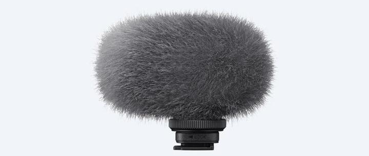Immagine prodotto Sony ECM-G1