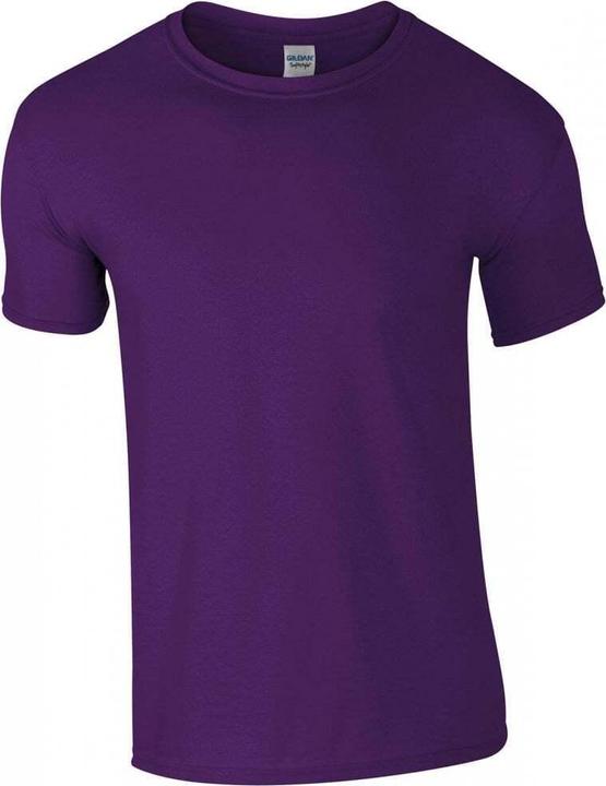 Viola