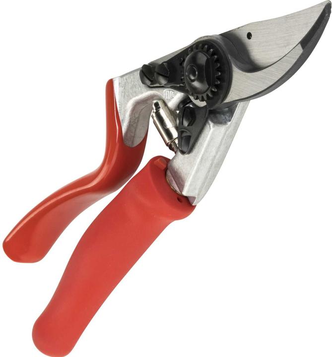 Actual product image Felco Sekator 10 Classic