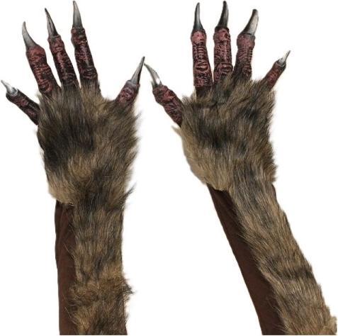 Image du produit Festartikel Müller Mains griffes de loup-garou avec poils en peluche