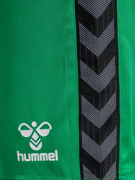 Image du produit hummel Hmlauthentic Pl Shorts (XXL)