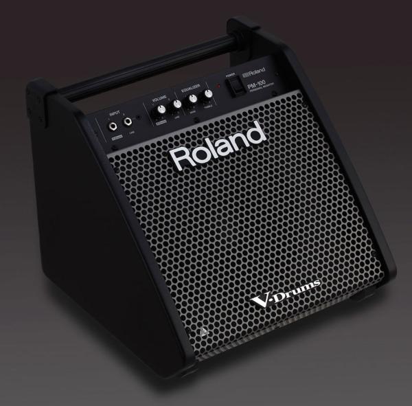 Actual product image Roland PM-100 Personal Monitor
