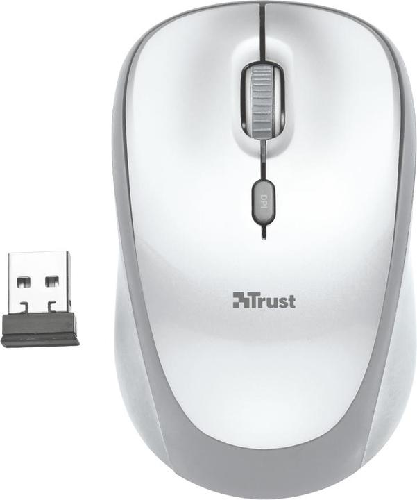 Image du produit Trust Souris sans fil Yvi blanc (Sans fil)