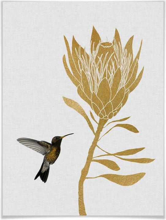 Produktbild Trenddeko Orara Studio - Hummingbird and Flower - goldene Blume (24 x 30 cm)