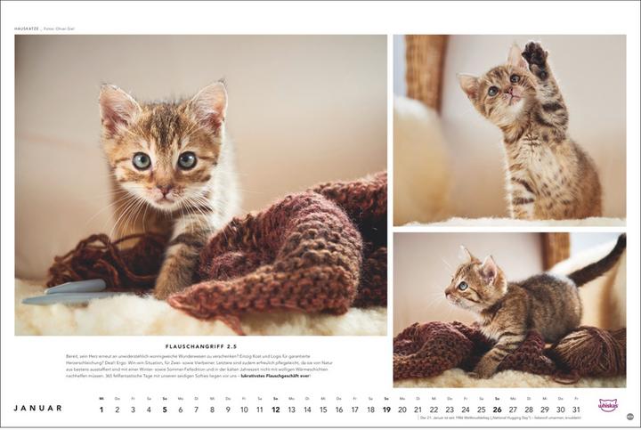 Produktbild Heye Whiskas Katzenkalender 2025 (45 x 30 cm, Harter Einband, Deutsch)