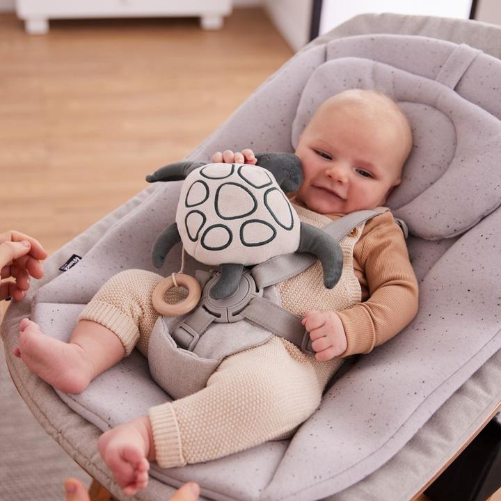 Image du produit Hauck Cuddle N Sleep Turtle