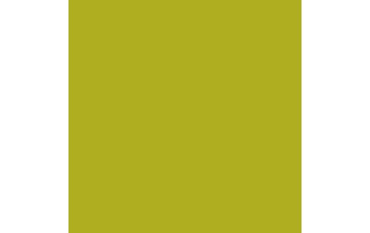 Image du produit Amsterdam Série standard de peintures acryliques (Feu vert olive, 120 ml)