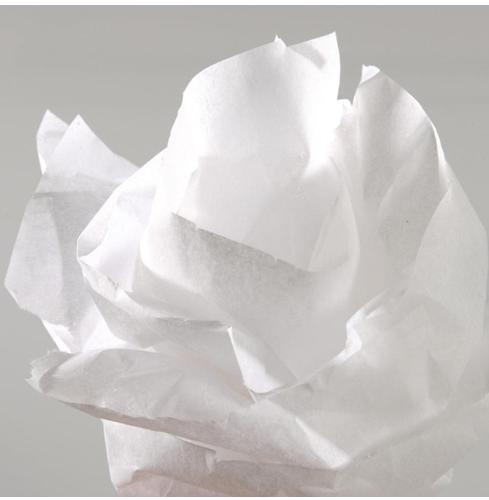 Produktbild Canson Seidenpapier Weiss 0,5x5m (20 g/m², 1 x)