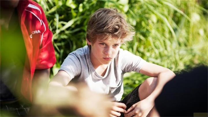 Image du produit Plaion Les rois de la cabane dans les arbres Rivaux malgré eux (DVD, 2014, Allemand, Néerlandais)