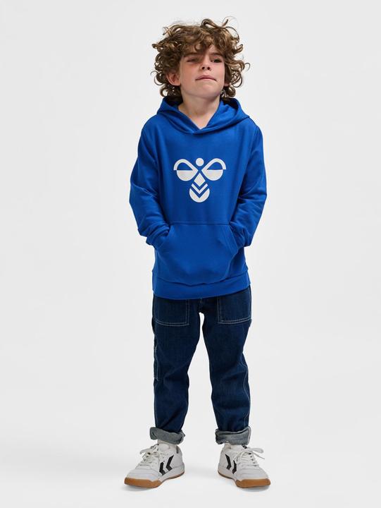 Image du produit hummel hmlCUATRO HOODIE (116)
