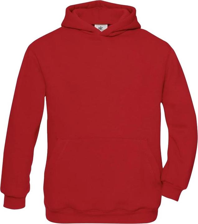 B&C ID.333 Kapuzenpullover