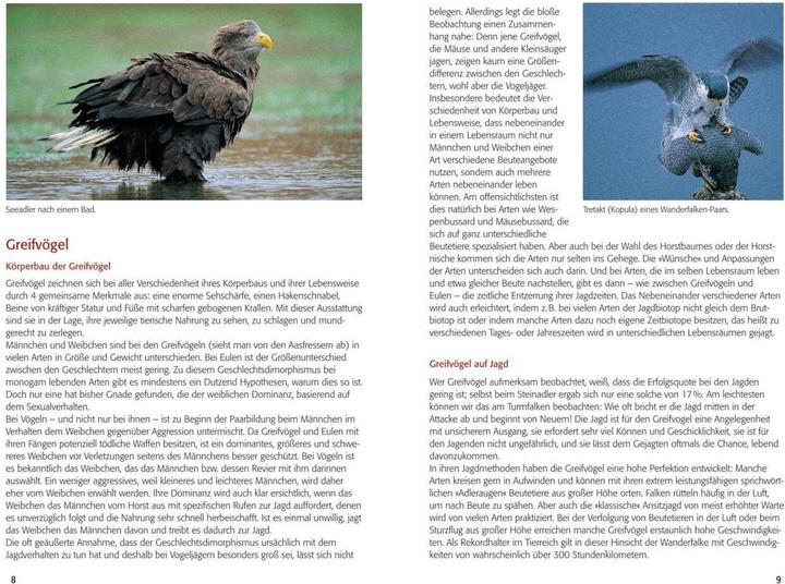 Produktbild Greifvögel & Eulen (Deutsch, Walther Thiede, 2019)