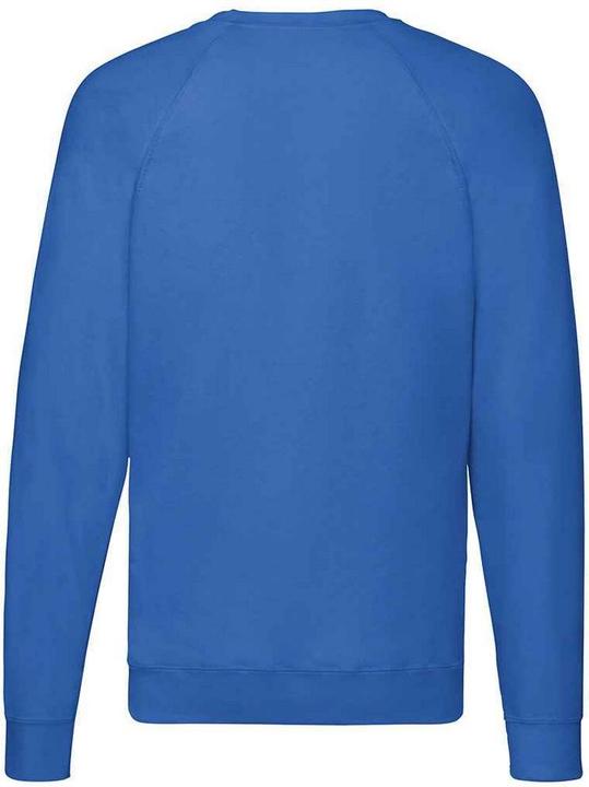 Actual product image Fruit of the Loom Unisex Adult Lightweight Raglan Sweatshirt (L)