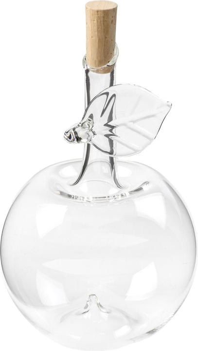 Glasi Hergiswil Bottiglia Mela 200 ml, 1 Stück, Transparent (2 dl, 1 x, Bicchieri da liquore + bicchieri da grappa)