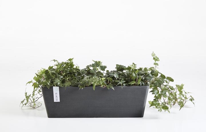 Actual product image Ecopots Bruges (45 cm)