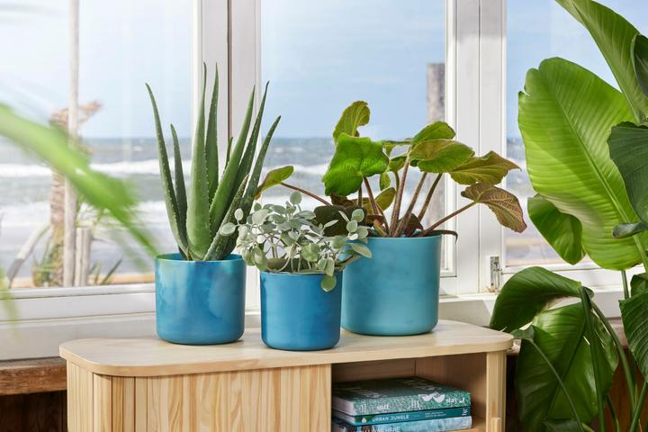 Produktbild Elho The Ocean Collection (22.30 cm)