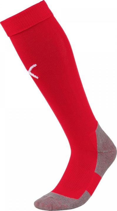 Actual product image Puma Team LIGA Socks CORE-703441 (47 - 49)