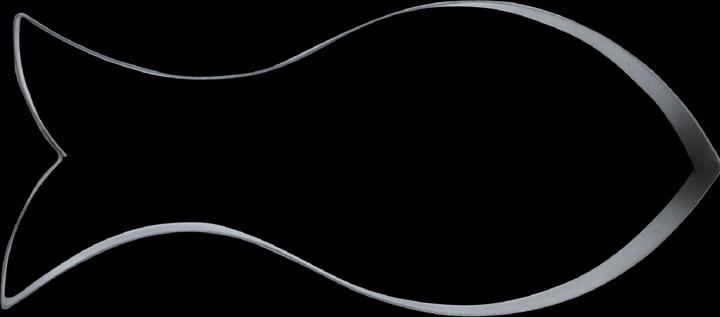 Actual product image Städter Fish cutter 13 cm