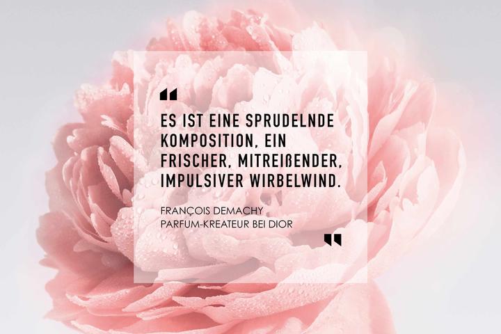 Immagine prodotto Dior Signorina (Eau de toilette, 100 ml)