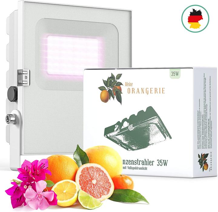 Actual product image Meine Orangerie 35.0 Watt (LED, 230 V)