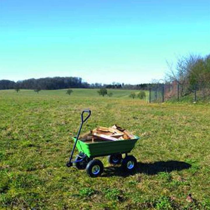 Immagine prodotto Güde GGW 250 (250 kg)