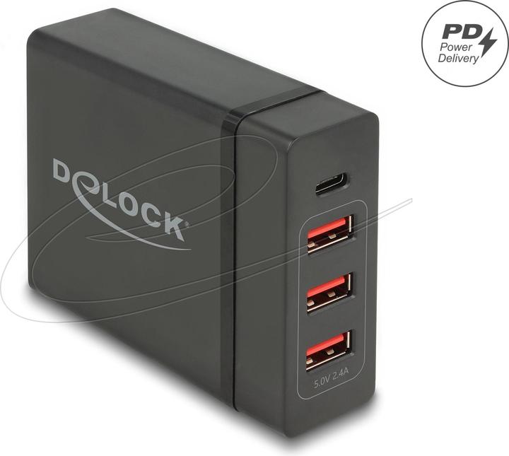 Delock Chargeur de batterie (60 W)