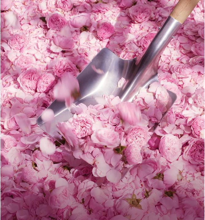 Produktbild Dior Miss (Body Mist, 100 ml)