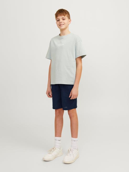 Image du produit Jack & Jones Jpstjaiden Jjpalma Seersucker Shor Jnr (170)
