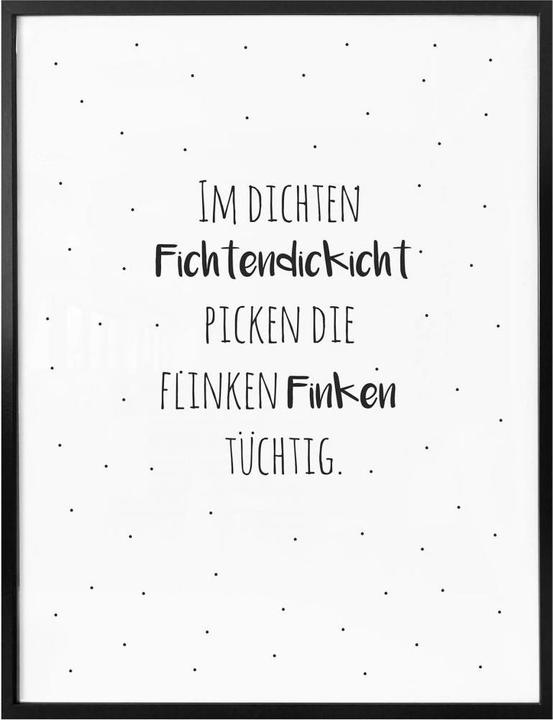Produktbild Trenddeko Zungenbrecher - Im dichten Fichtendickicht (30 x 40 cm)