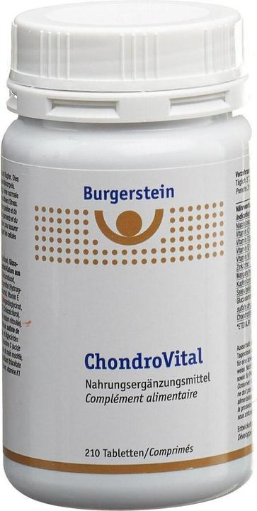 Produktbild Burgerstein ChondroVital (1 Stück, Tabletten, 147 g)