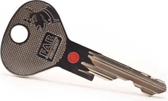 Immagine prodotto Assa Abloy CHIAVE VUOTA 200RS RRS1 FA207GG074.1000